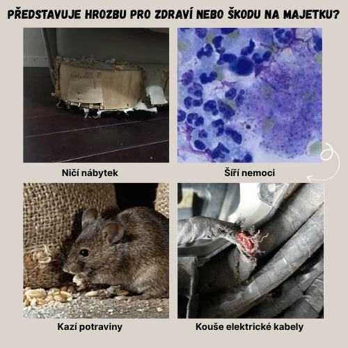 Bestseller™ – Humánní Klecová Past Na Krysy, Myši A Veverky (Živé Odchyty)
